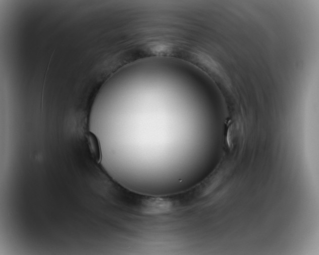 X0000089390421200706151225