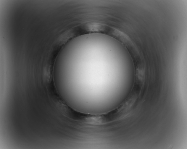 X0000089390422200706151225
