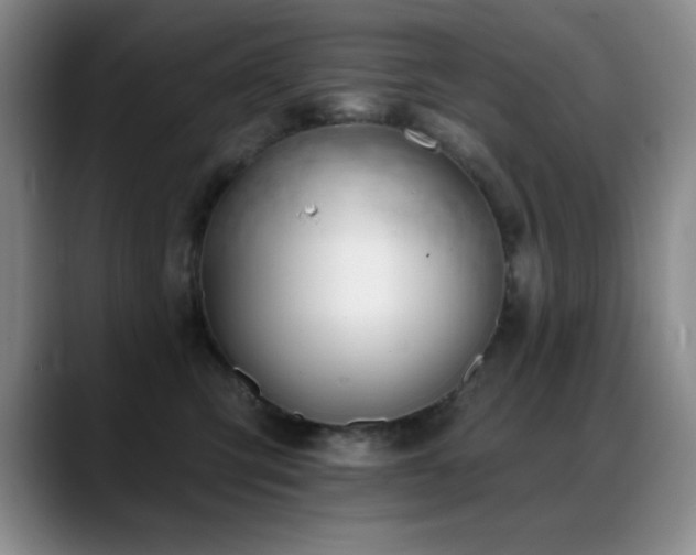 X0000089390423200706151225