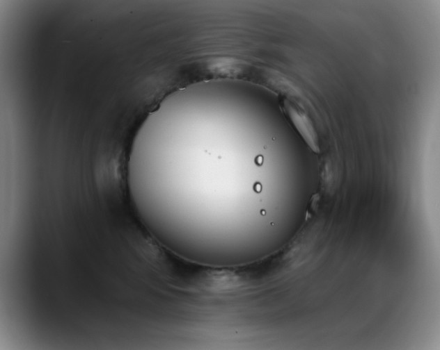 X0000089390424200706151225