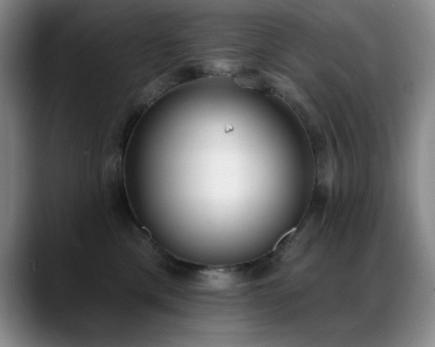 X0000089390425200706151225