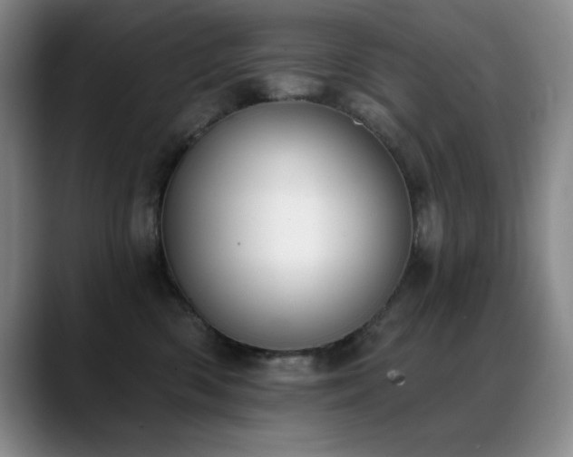 X0000089390426200706151225