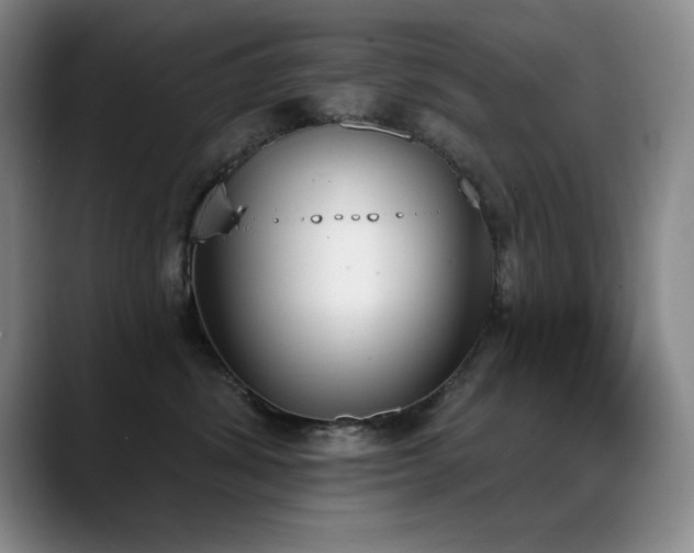 X0000089390428200706151225
