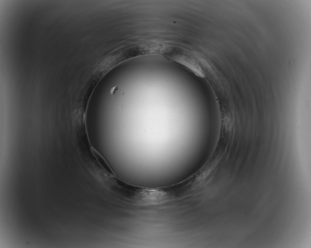 X0000089390429200706151225
