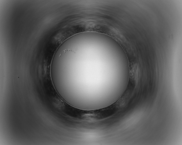 X0000089390430200706151225