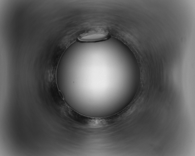 X0000089390432200706151225