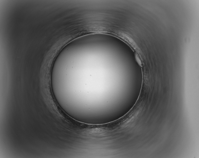 X0000089390433200706151225
