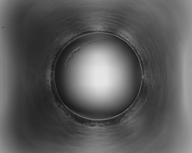 X0000089390434200706151225