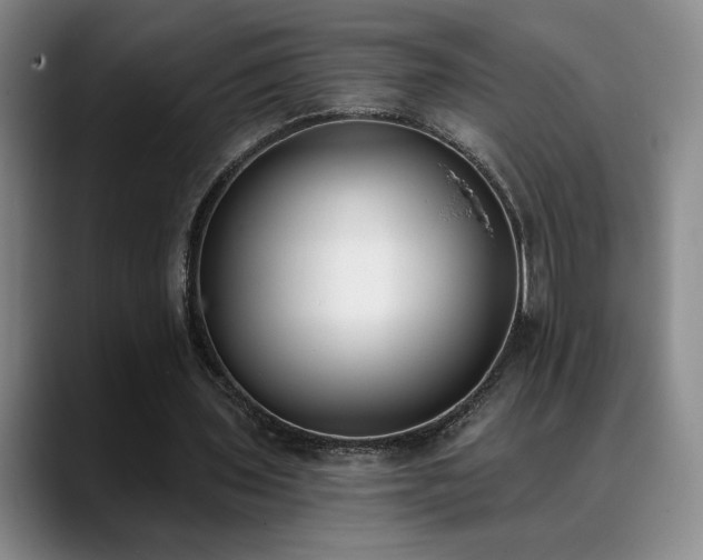 X0000089390435200706151225