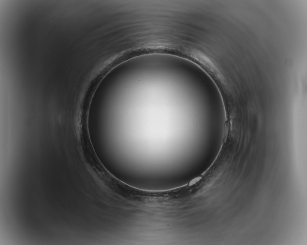 X0000089390436200706151225