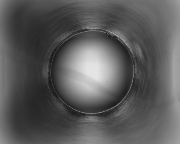 X0000089390437200706151225