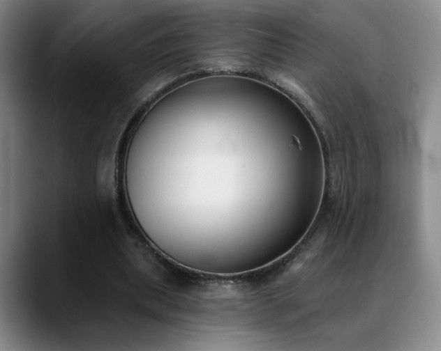 X0000089390439200706151225
