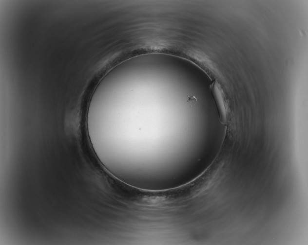 X0000089390440200706151225