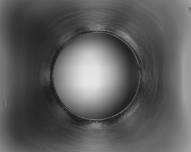 X0000089390441200706151225