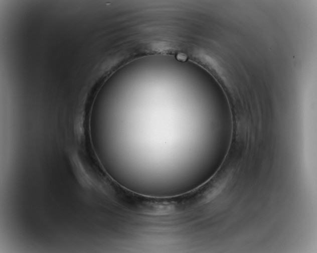 X0000089390443200706151225