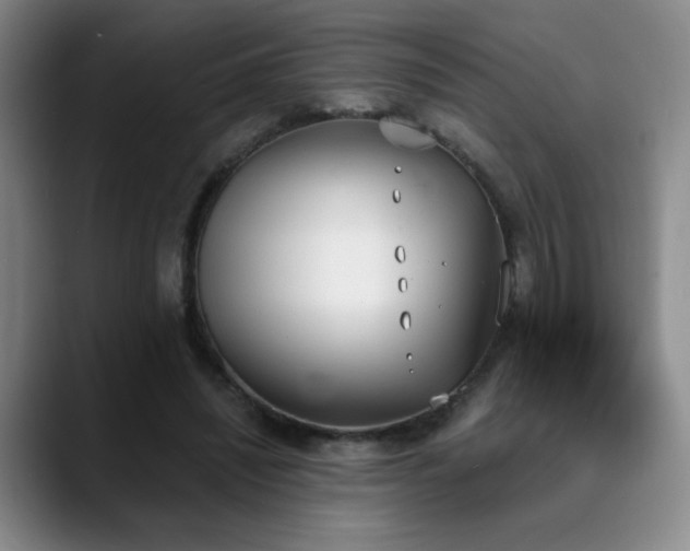 X0000089390444200706151225