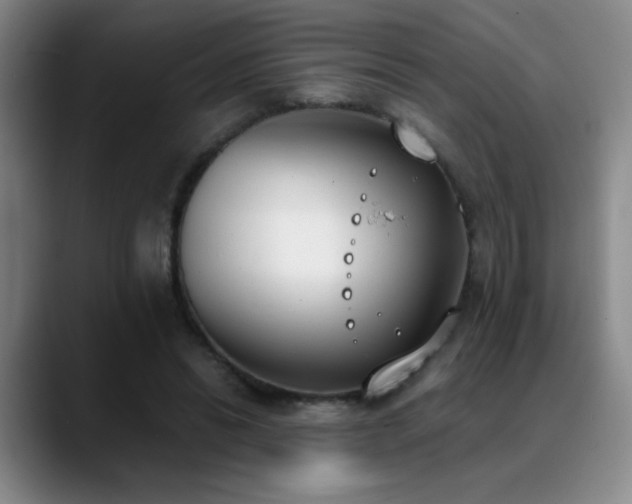 X0000089390446200706151225