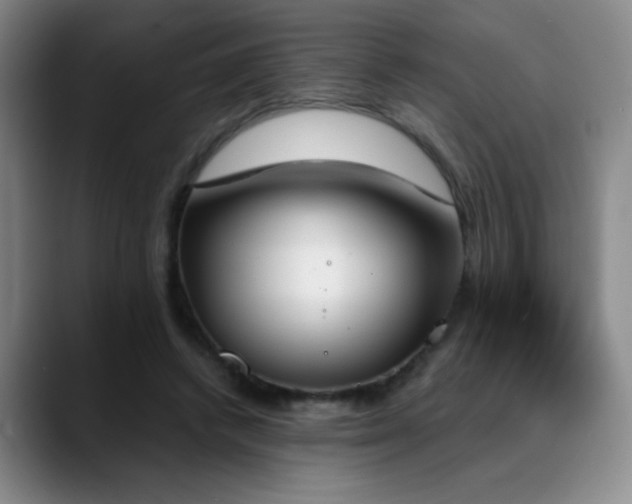 X0000089390448200706151225