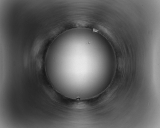 X0000089390451200706151225