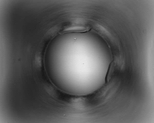 X0000089390452200706151225