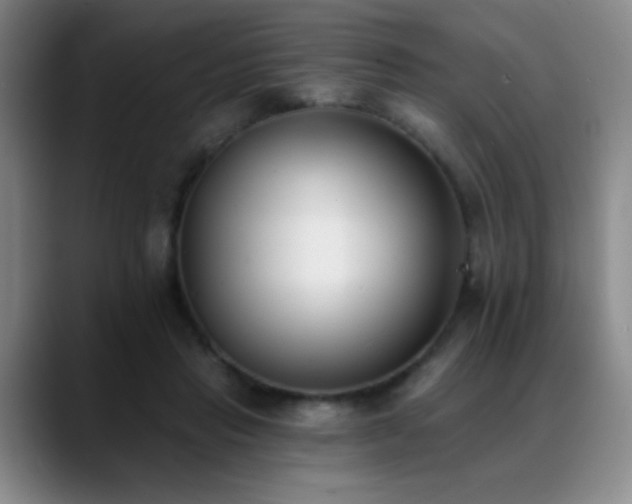 X0000089390453200706151225