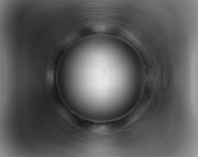 X0000089390454200706151225