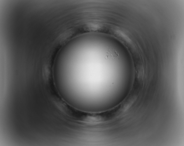 X0000089390455200706151225