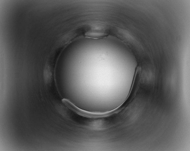 X0000089390456200706151225