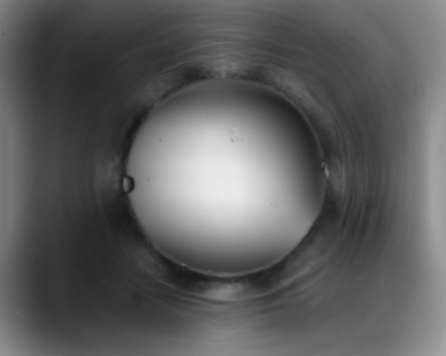 X0000089390458200706151225