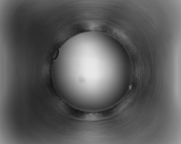 X0000089390461200706151225