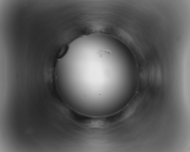 X0000089390462200706151225