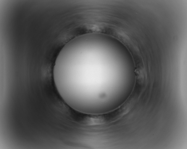 X0000089390466200706151225