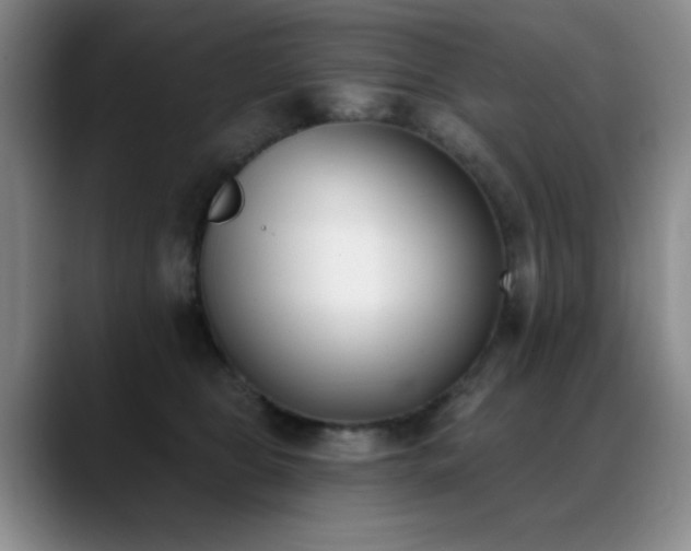 X0000089390469200706151225