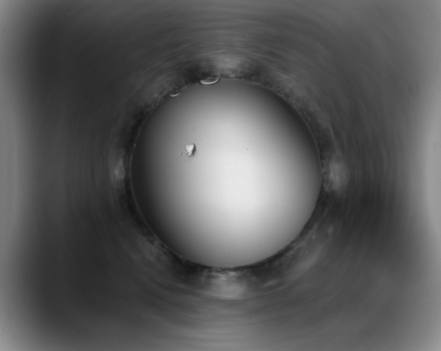 X0000089390472200706151225