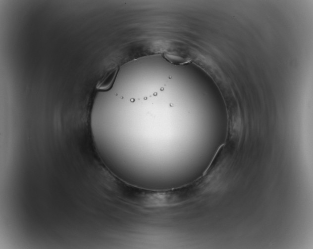 X0000089390473200706151225