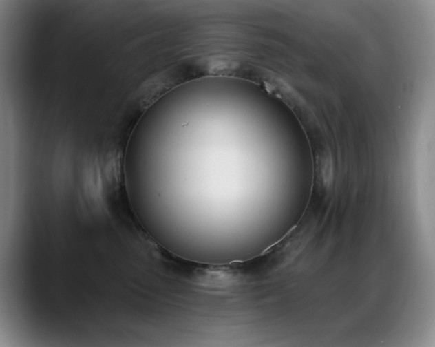 X0000089390475200706151225