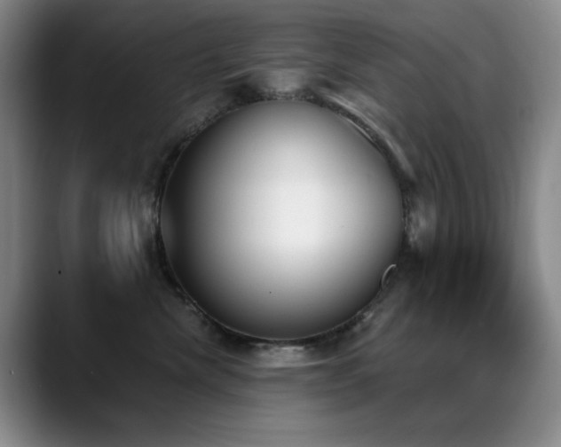 X0000089390476200706151225