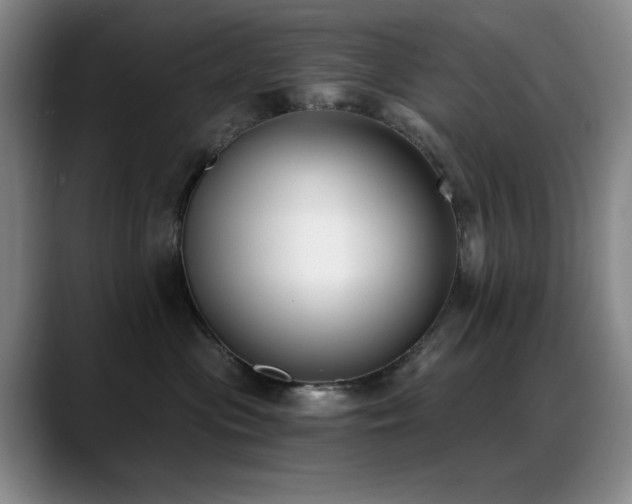 X0000089390477200706151225