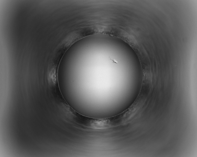 X0000089390479200706151225