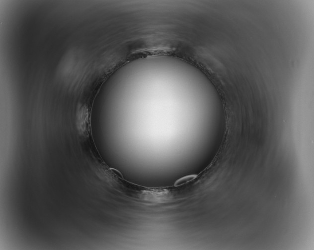 X0000089390480200706151225