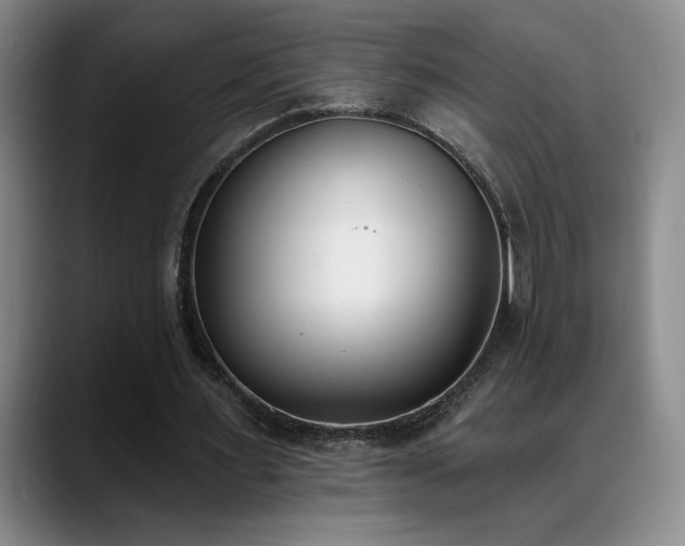 X0000089390483200706151225