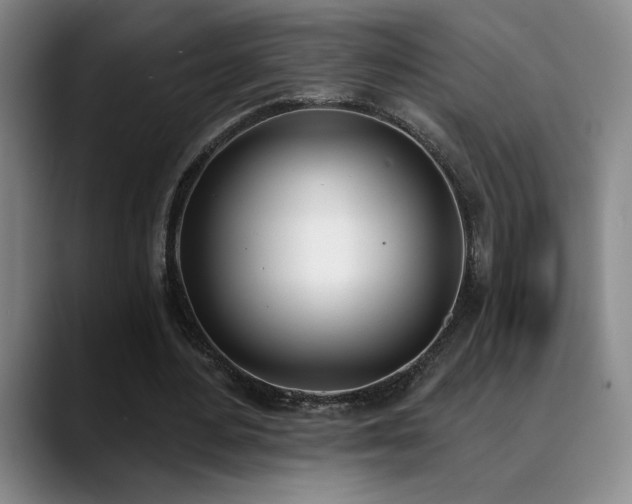 X0000089390484200706151225