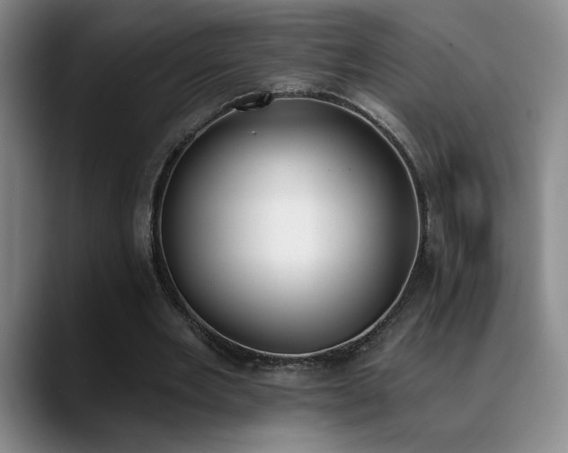 X0000089390485200706151225
