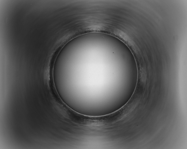 X0000089390486200706151225