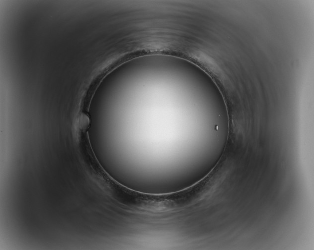 X0000089390488200706151225