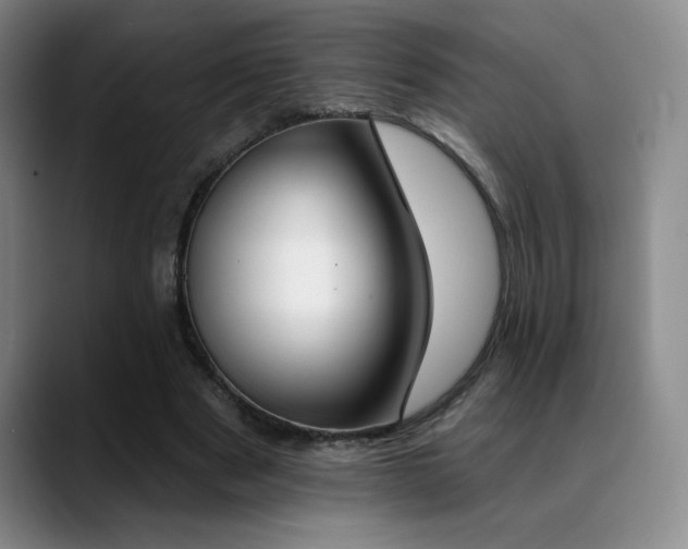 X0000089390489200706151225