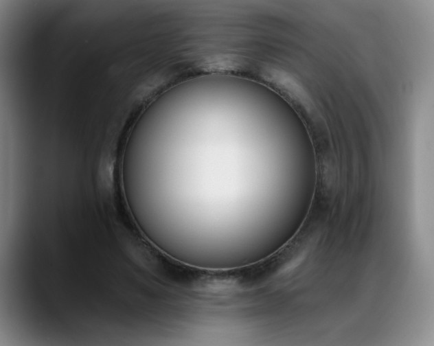 X0000089390491200706151225