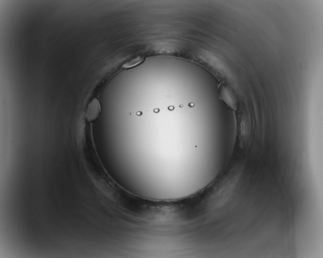 X0000089390492200706151225