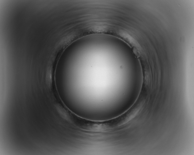 X0000089390493200706151225