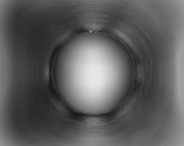 X0000089390494200706151225